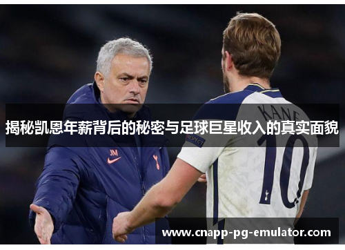 揭秘凯恩年薪背后的秘密与足球巨星收入的真实面貌