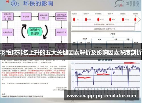 羽毛球排名上升的五大关键因素解析及影响因素深度剖析