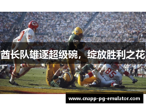 酋长队雄逐超级碗，绽放胜利之花