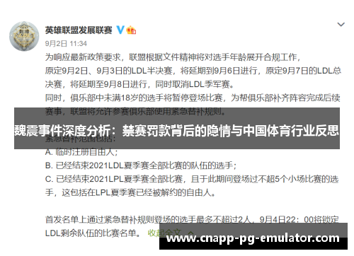 魏震事件深度分析：禁赛罚款背后的隐情与中国体育行业反思